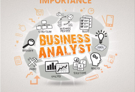 business analysts