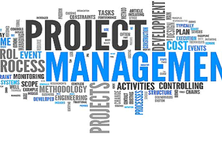 project managers