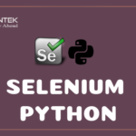 selenium python