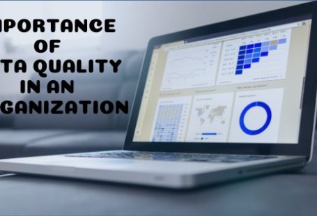 Importance of Data Quality in an Organization