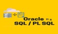 Oracle SQL PL SQL Training | Instructor Led SQL Course | LEARNTEK