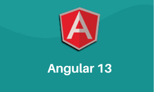 angular 13