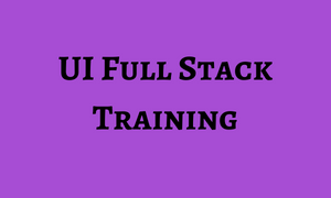 ui Full Stack Training