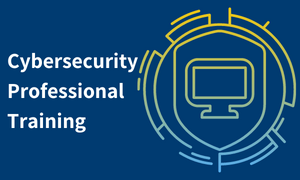 cybersecurity professional training