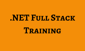 .NET Full Stack Training