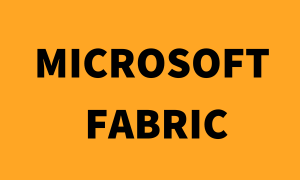 MICROSOFT FABRIC