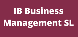 IB Business Management SL